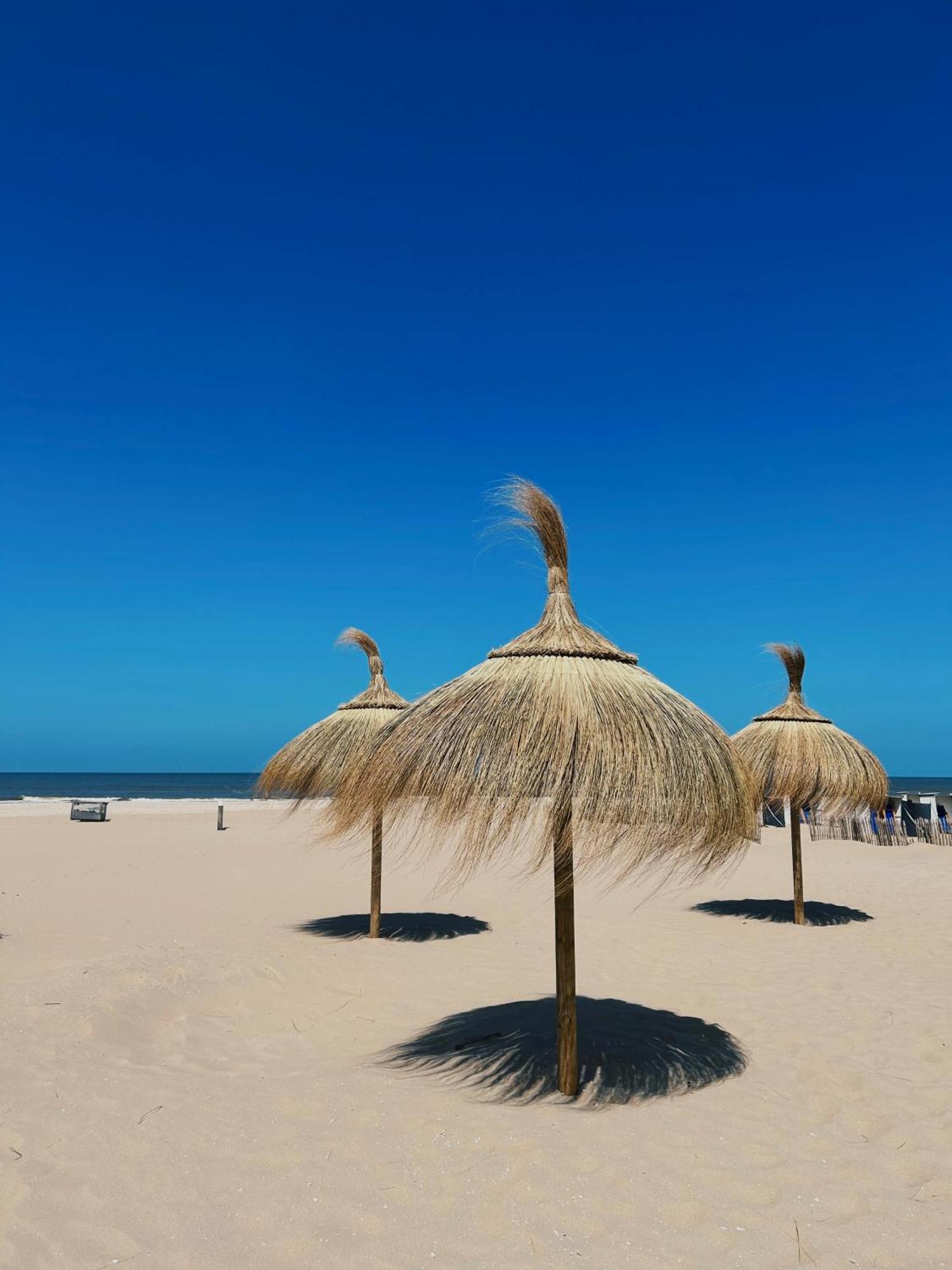 Sisters Beachbungalows Katwijk aan Zee Bagian luar foto